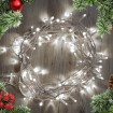 Led outdoor Christmas lights PROF 100Led 10m IP65 Cold white