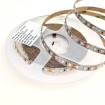 Abcled.ee - LED Strip Green 3528smd 120l/m 9.6W/m 960Lm/m IP20