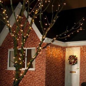 Led outdoor Christmas lights FLASH 100Led 10m IP44 Warm white